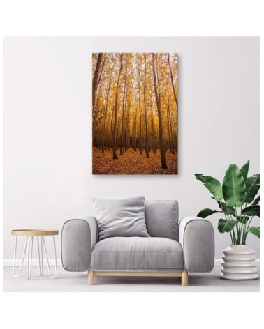 Wandbild für Wohnzimmer - Birken und Blätter | Feeby