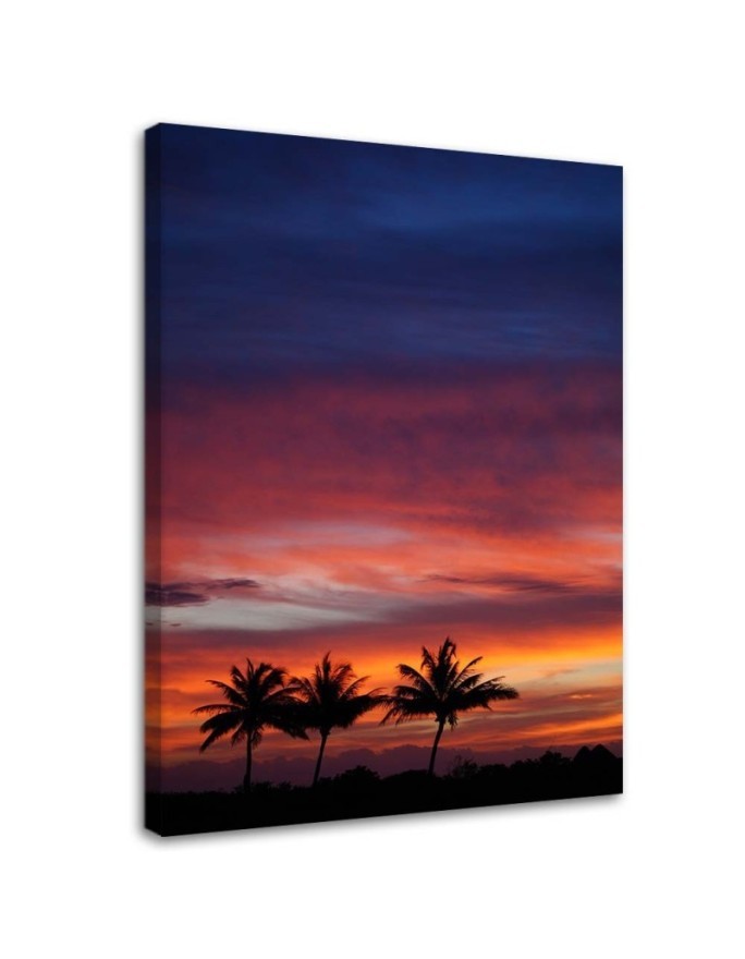 Modernes Wandbild - Bunter Himmel und Palmen | Feeby