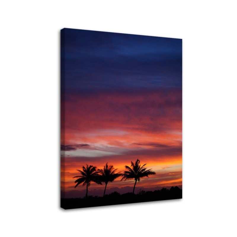 Modernes Wandbild - Bunter Himmel und Palmen | Feeby