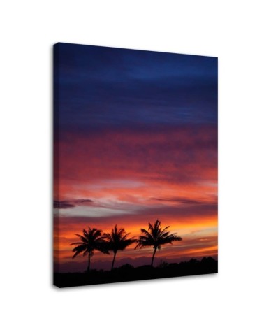 Modernes Wandbild - Bunter Himmel und Palmen | Feeby