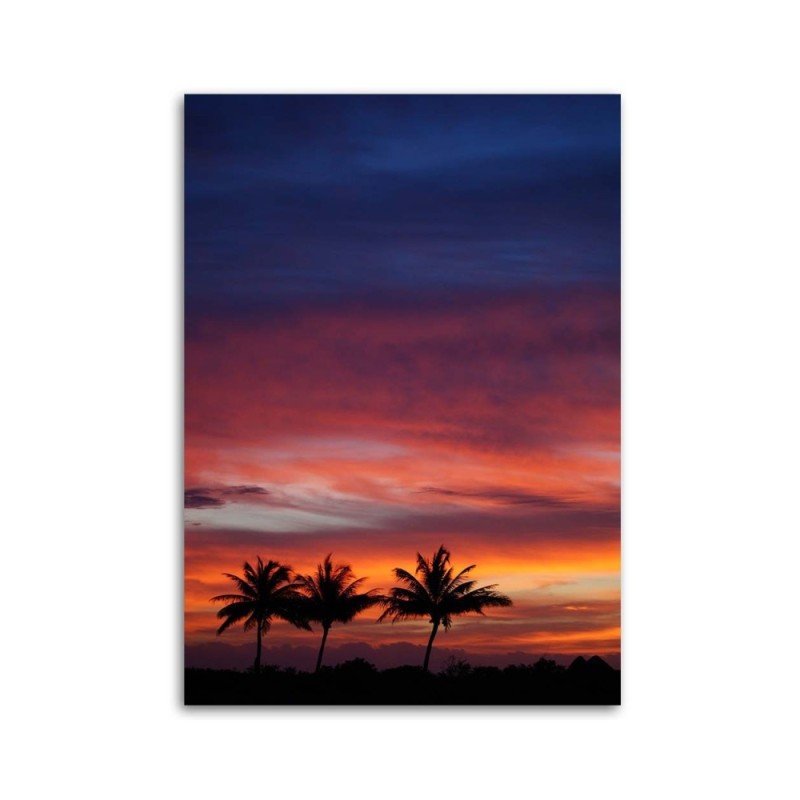 Modernes Wandbild - Bunter Himmel und Palmen | Feeby