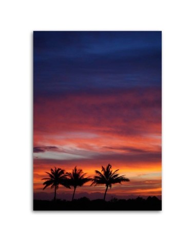 Modernes Wandbild - Bunter Himmel und Palmen | Feeby