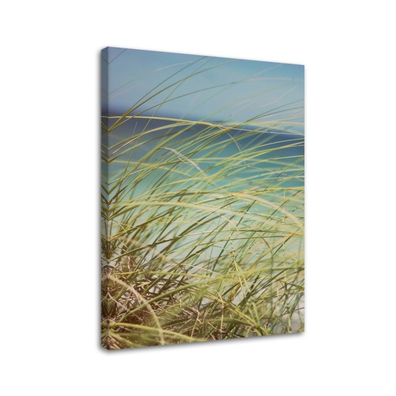 Leinwandbild - Gras auf den Dünen | Feeby
