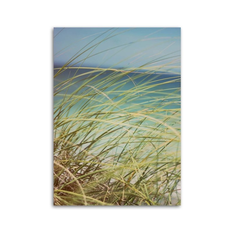 Leinwandbild - Gras auf den Dünen | Feeby