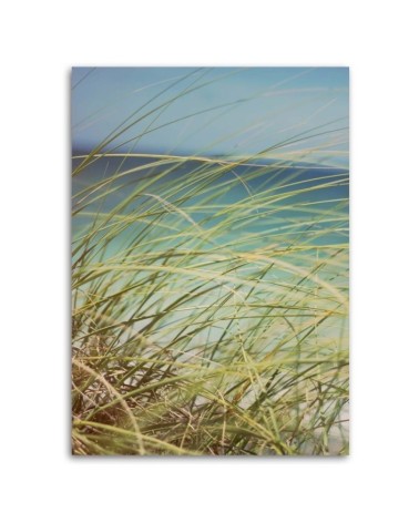 Leinwandbild - Gras auf den Dünen | Feeby