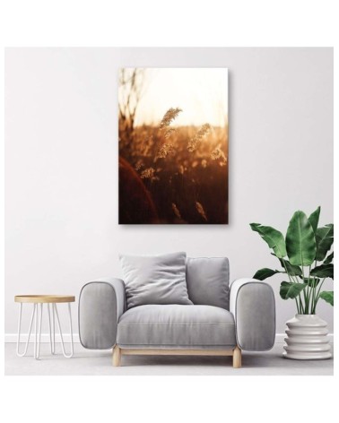 Modernes Wandbild - Wiese in der Sonne | Feeby