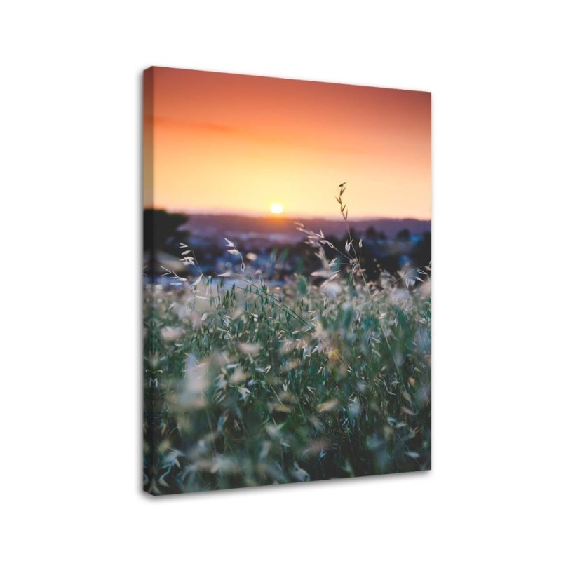 Leinwandbild - Wiese und Sonnenuntergang | Feeby