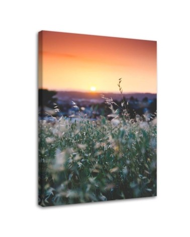 Leinwandbild - Wiese und Sonnenuntergang | Feeby