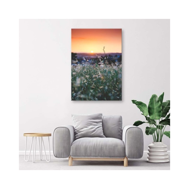 Leinwandbild - Wiese und Sonnenuntergang | Feeby