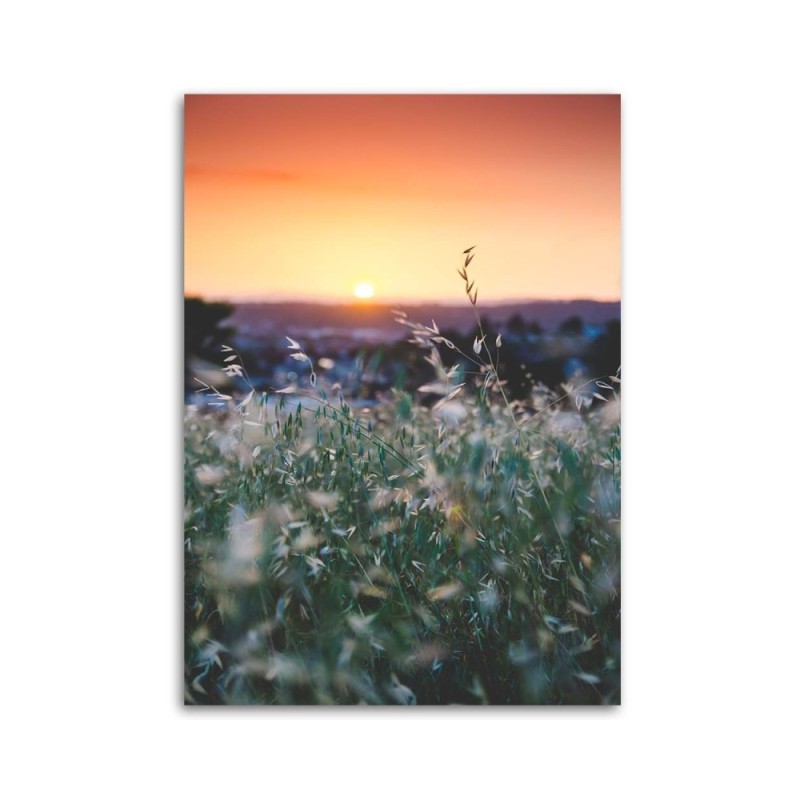 Leinwandbild - Wiese und Sonnenuntergang | Feeby