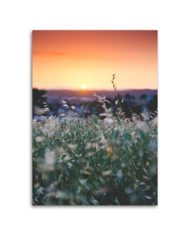 Leinwandbild - Wiese und Sonnenuntergang | Feeby