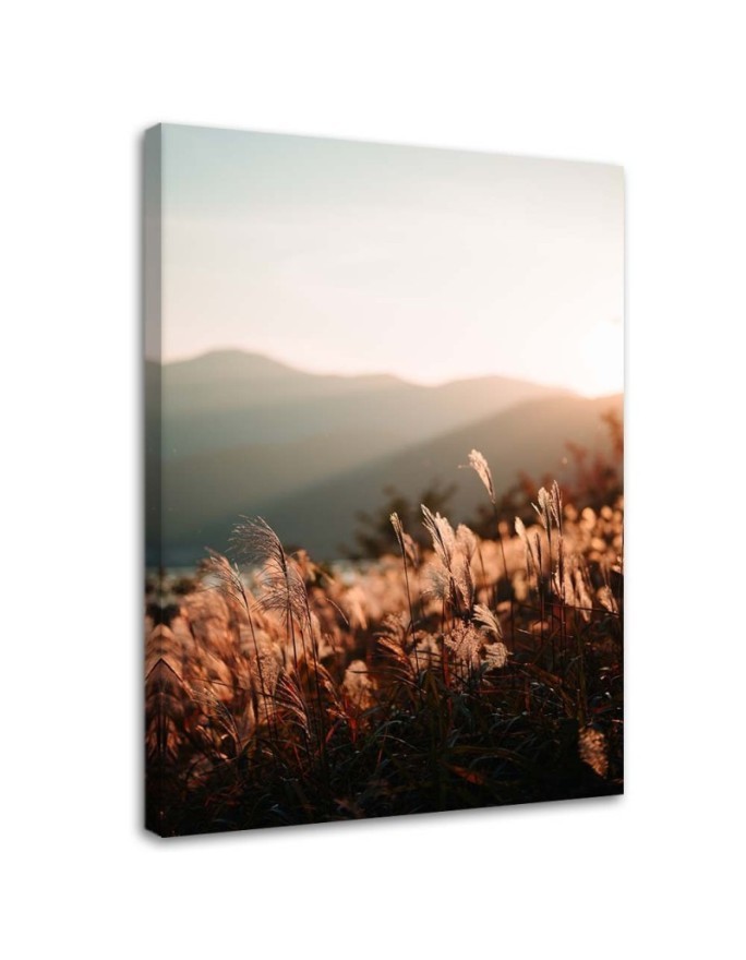 Modernes Wandbild - Wiese und Berge | Feeby