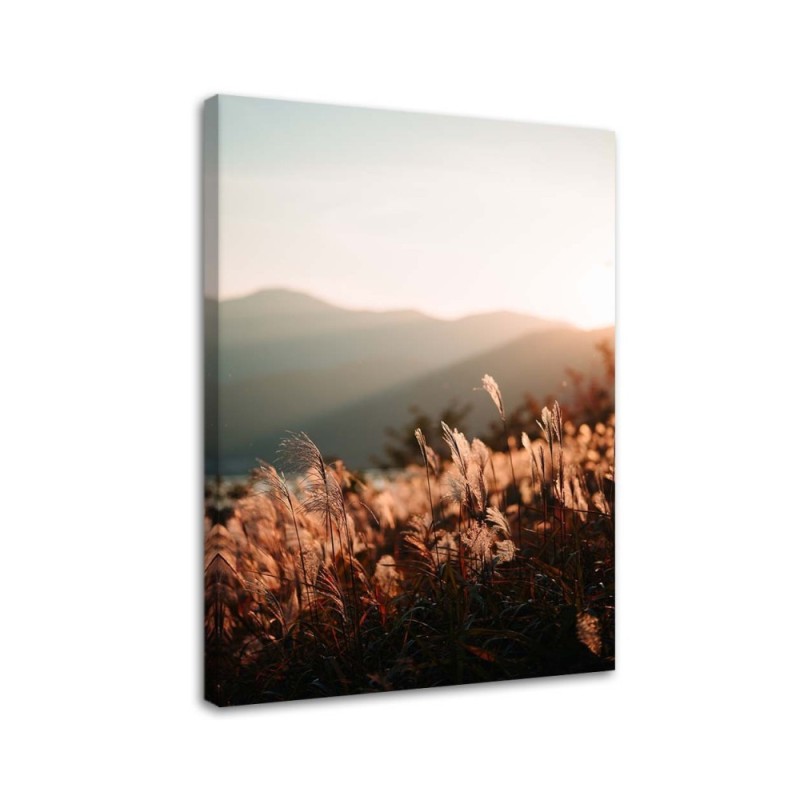 Modernes Wandbild - Wiese und Berge | Feeby