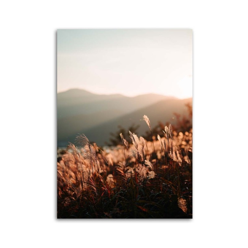 Modernes Wandbild - Wiese und Berge | Feeby