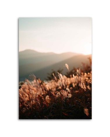 Modernes Wandbild - Wiese und Berge | Feeby