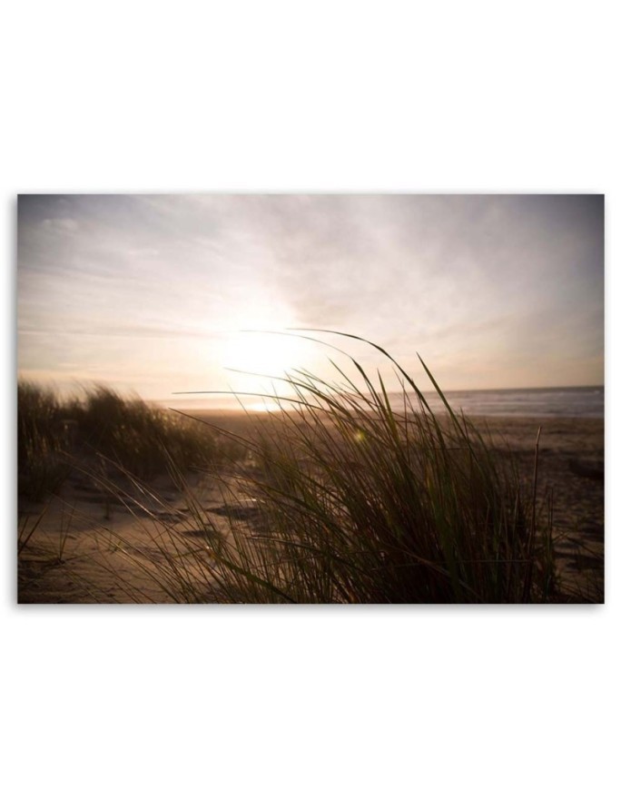 Canvas prints for living room - Sunset beach | FEEBY