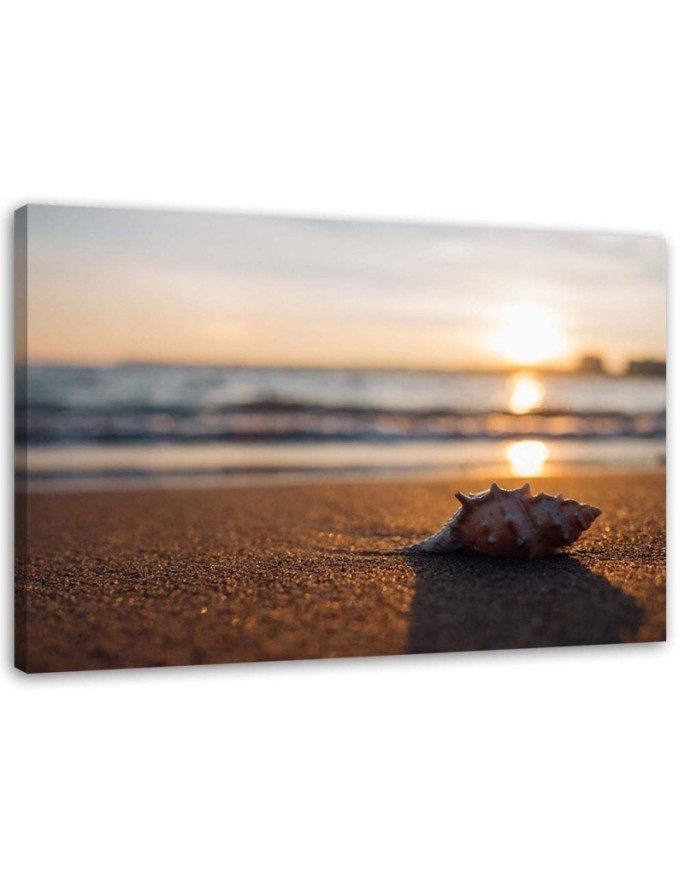 Canvas prints for bedroom - Shell on the beach and sunset | FEEBY