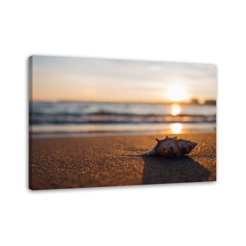 Canvas prints for bedroom - Shell on the beach and sunset | FEEBY