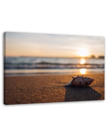 Canvas prints for bedroom - Shell on the beach and sunset | FEEBY