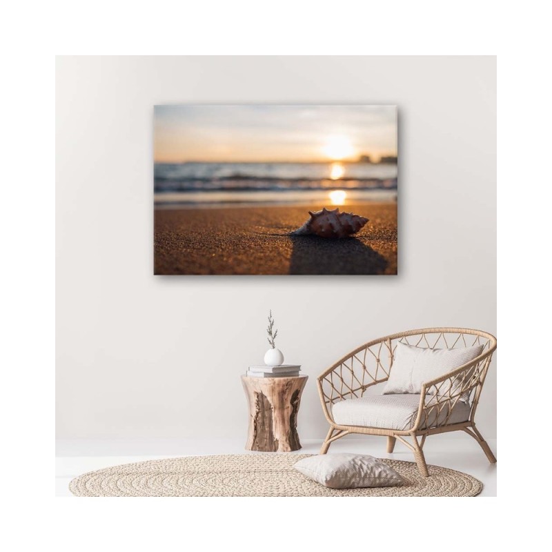 Leinwandbild - Muschel am Strand | Feeby