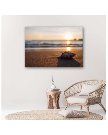 Leinwandbild - Muschel am Strand | Feeby