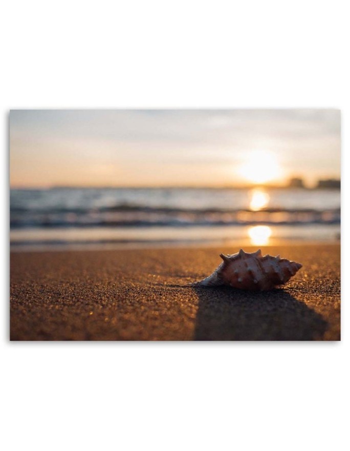 Canvas prints for bedroom - Shell on the beach and sunset | FEEBY