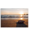 Canvas prints for bedroom - Shell on the beach and sunset | FEEBY