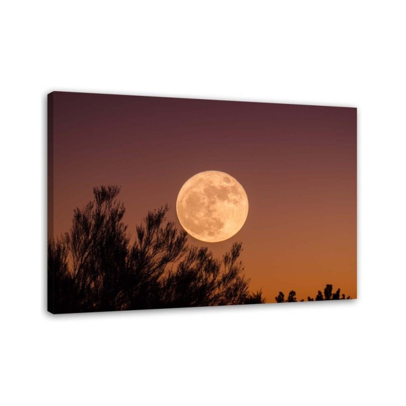 Dekoratives Leinwandbild - Vollmond | Feeby