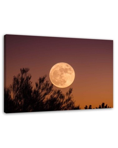 Dekoratives Leinwandbild - Vollmond | Feeby