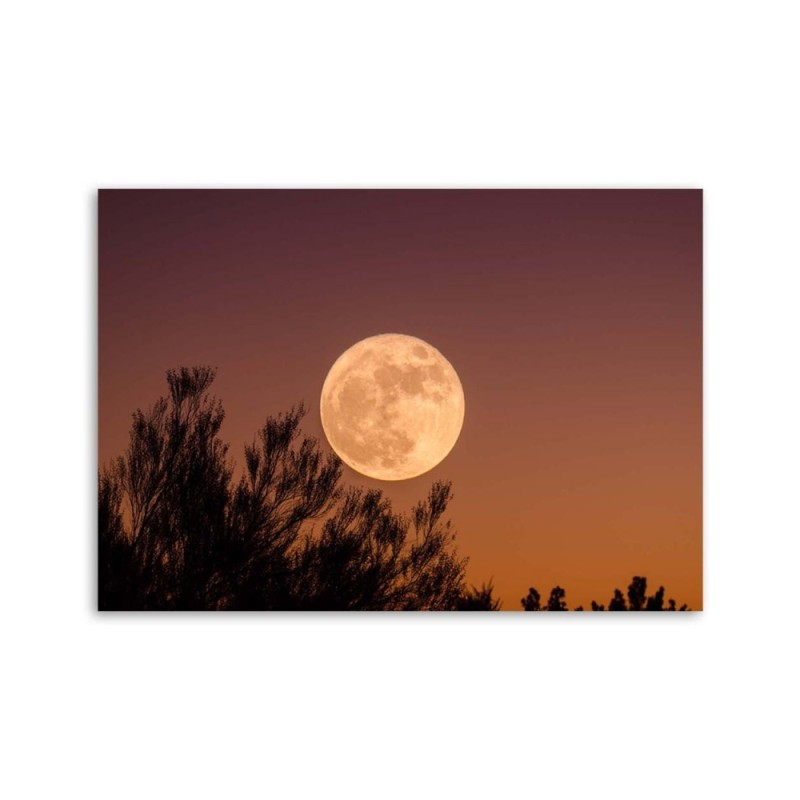 Dekoratives Leinwandbild - Vollmond | Feeby