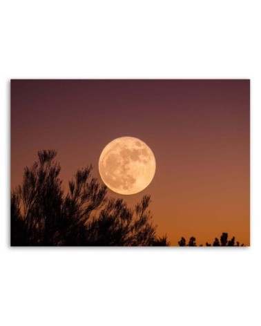 Dekoratives Leinwandbild - Vollmond | Feeby