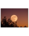 Canvas print - Full moon | FEEBY