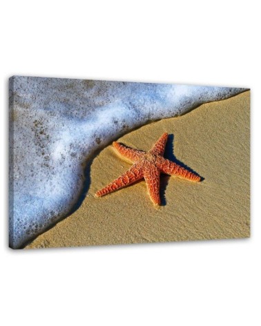Canvas prints for living room - Orange starfish on the beach | FEEBY