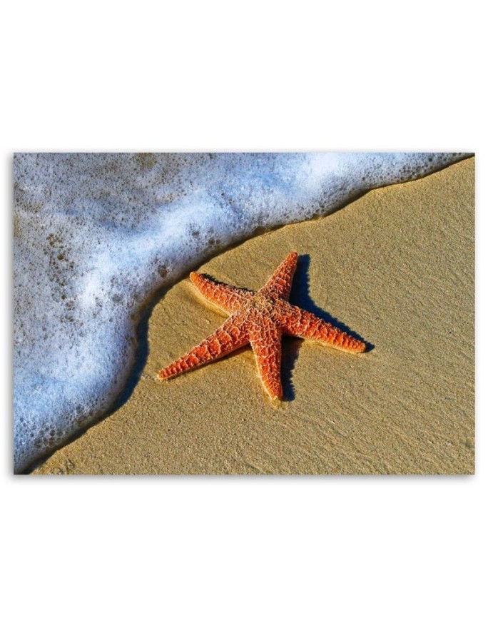 Canvas prints for living room - Orange starfish on the beach | FEEBY