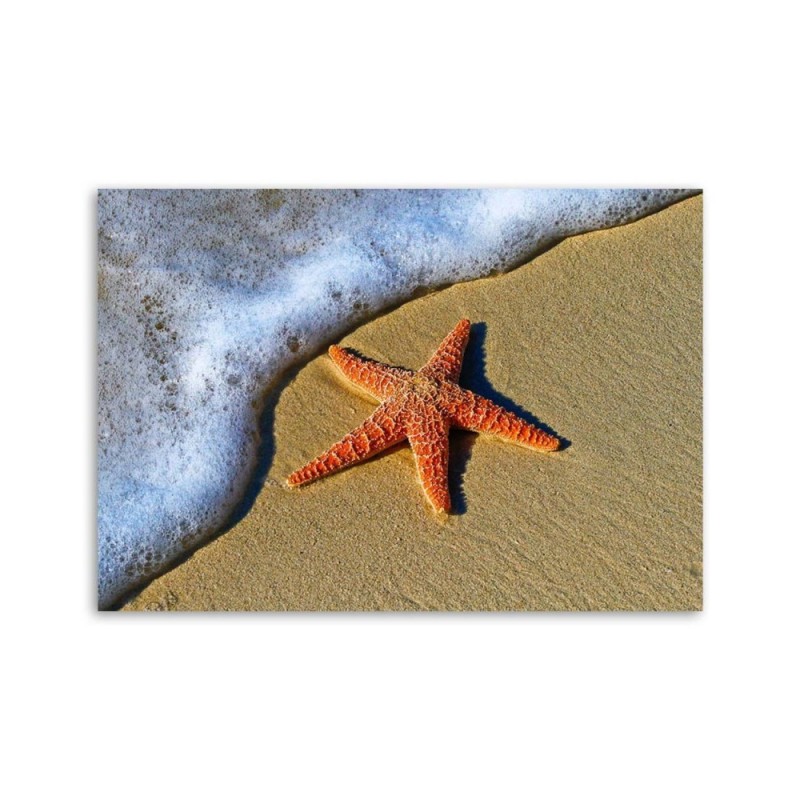 Leinwanddruck - Orangene Seesterne | Feeby