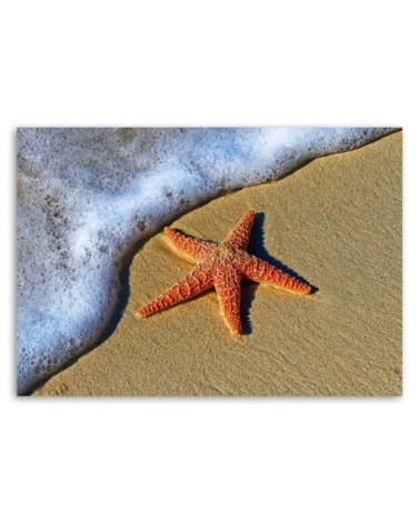 Leinwanddruck - Orangene Seesterne | Feeby