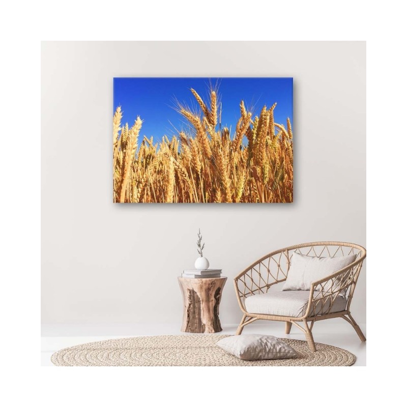 Wandbild für Wohnzimmer - Wolkenloser Himmel und Getreide | Feeby