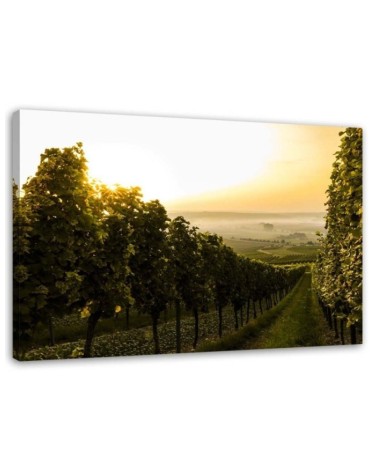 Modernes Wandbild - Grüner Weinberg | Feeby