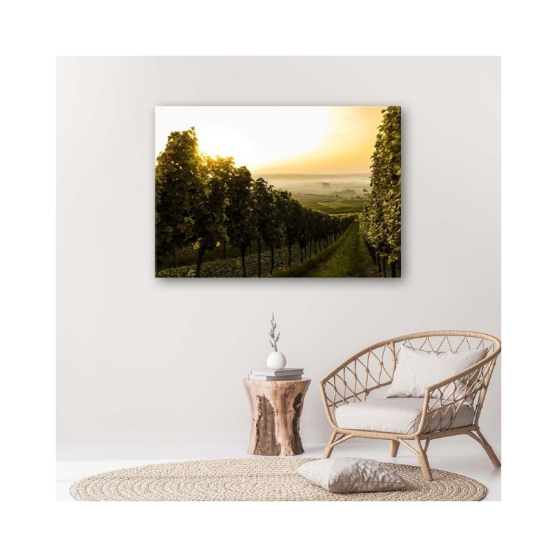 Modernes Wandbild - Grüner Weinberg | Feeby