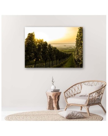 Modernes Wandbild - Grüner Weinberg | Feeby