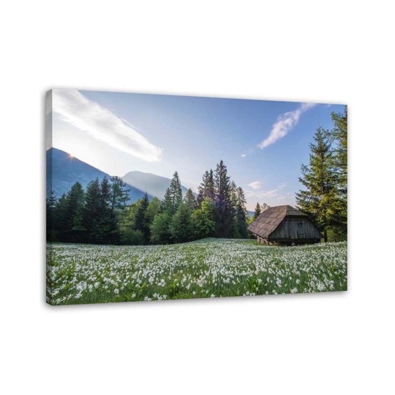 Modernes Wandbild - Holzhaus zwischen den Bäumen | Feeby