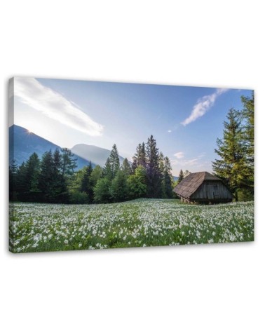 Modernes Wandbild - Holzhaus zwischen den Bäumen | Feeby