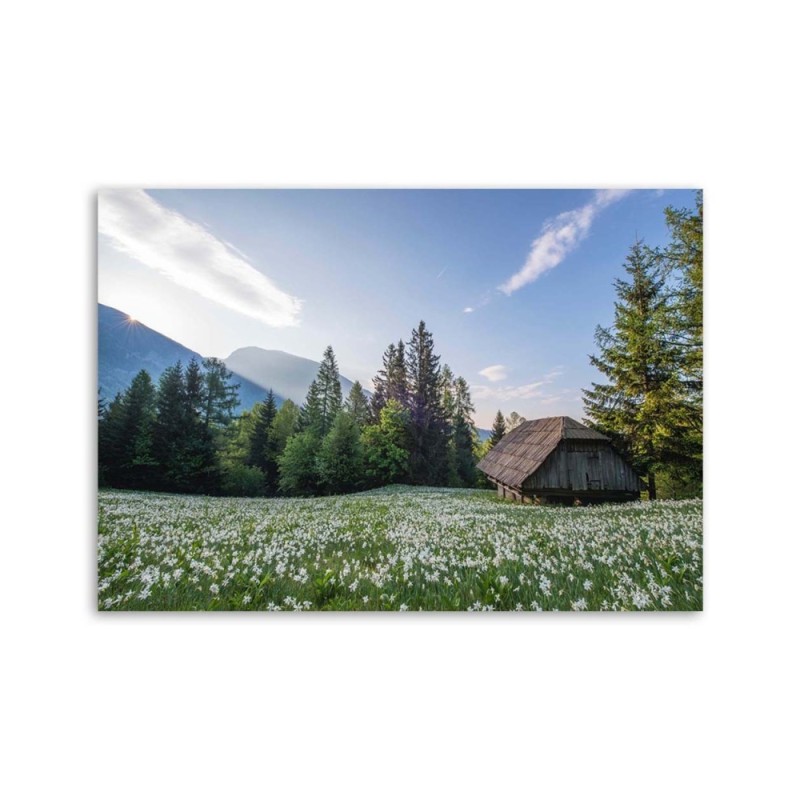 Modernes Wandbild - Holzhaus zwischen den Bäumen | Feeby