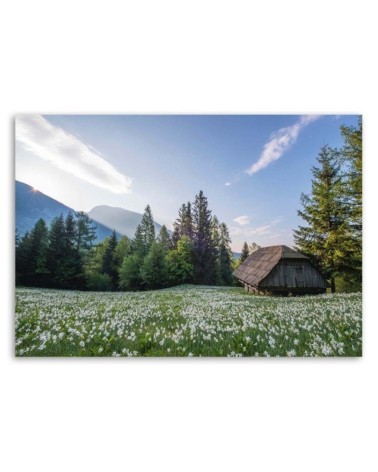 Modernes Wandbild - Holzhaus zwischen den Bäumen | Feeby