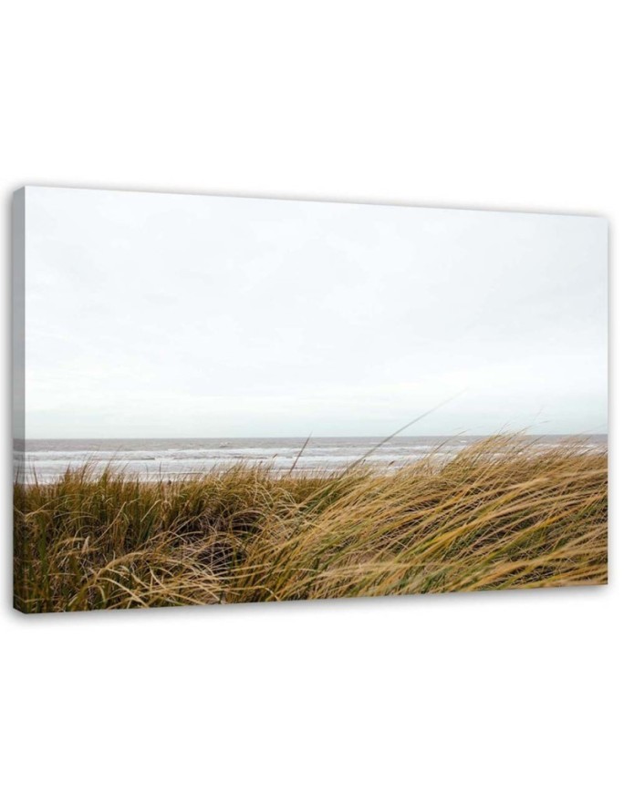 Bild auf Leinwand - Gras am Meeresufer | Feeby
