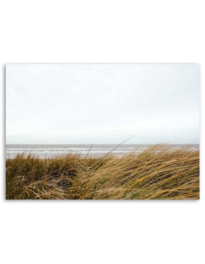 Modern bedroom Canvas painting - Seaside dune grasses | FEEBY