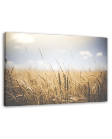 Canvas painting for living room - Cereals in a field | FEEBY