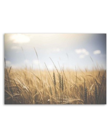 Leinwanddruck - Getreide auf dem Feld | Feeby
