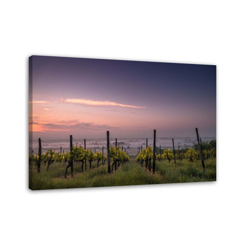 Leinwandbild - Weinbau | Feeby
