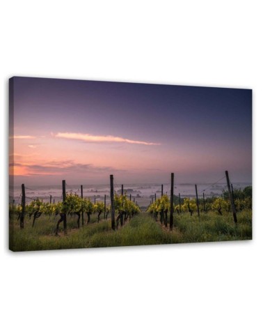 Modern canvas print - Vineyard grapes | FEEBY